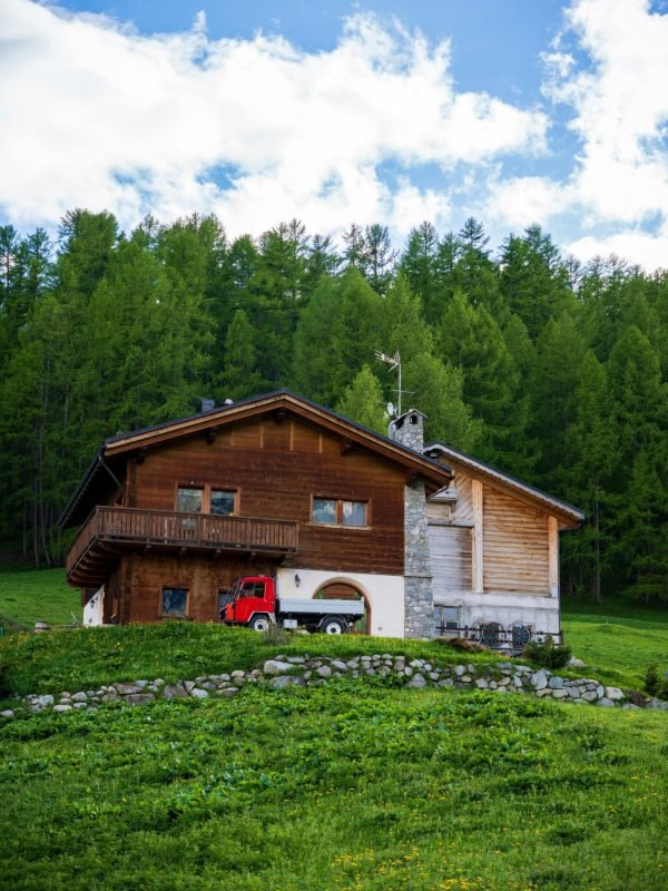 pexels-michalrobak-25858834